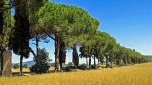 Wohnmobil mieten in Italien